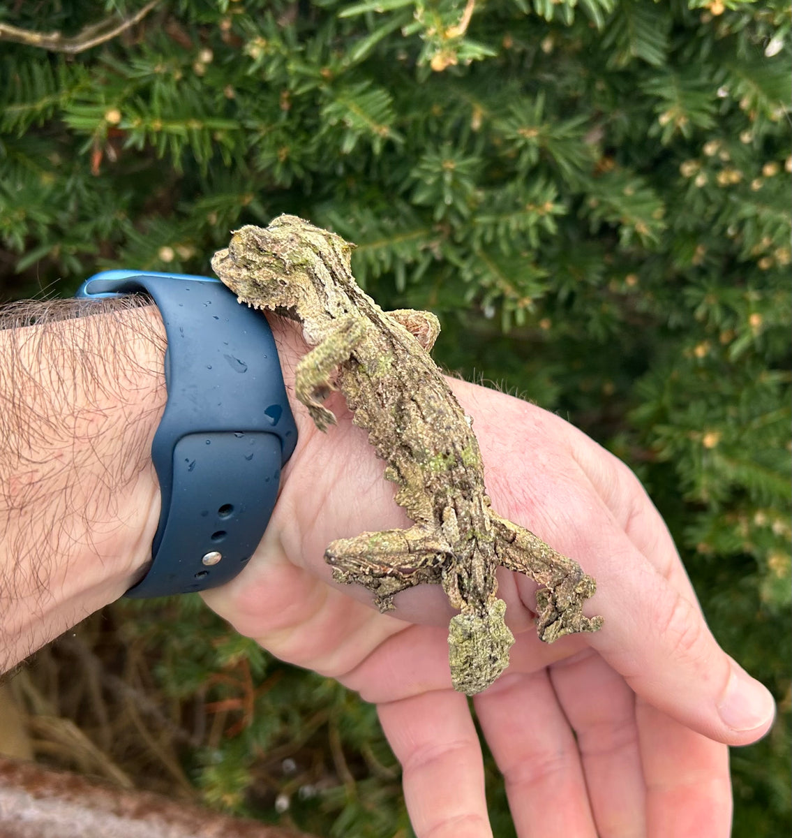 3B35A556-3DE2-4A61-AB4A-