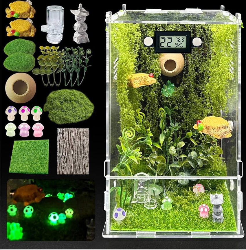 Jumping Spider Kit – Scales and Tails of Ohio