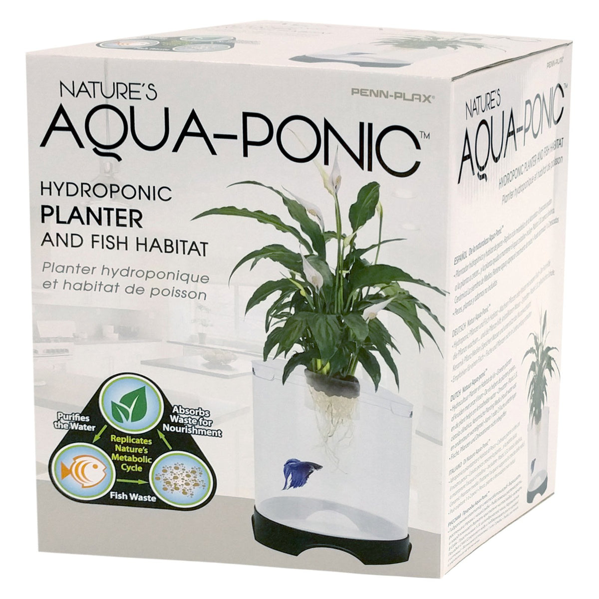 Aquaponic Betta Tank – Scales and Tails of Ohio