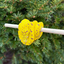 Load image into Gallery viewer, Baby Aru x Biak Green Tree Python