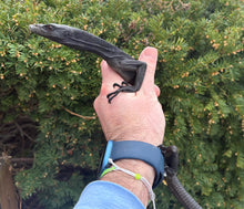 Load image into Gallery viewer, Adult Black Tree Monitor