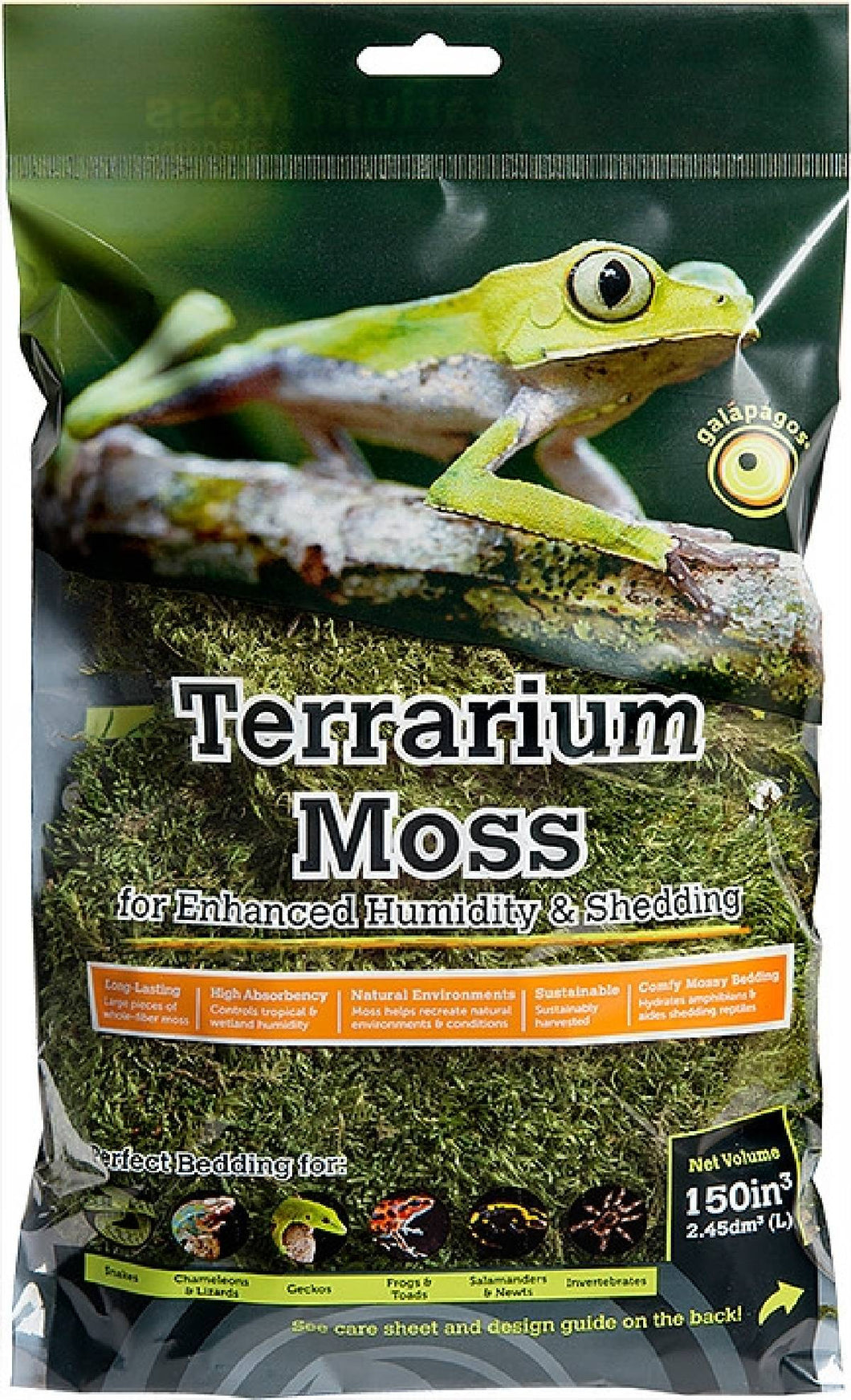 Terrarium Moss