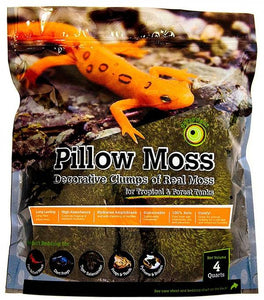 Galapagos Decorative Pillow Moss