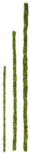 Load image into Gallery viewer, Mossy Sticks