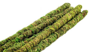 Mossy Sticks
