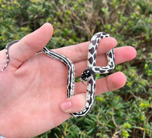 Load image into Gallery viewer, Baby Aberrant California Kingsnake