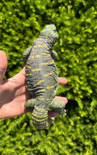 Load image into Gallery viewer, Adult ‘High-Color’ Ornate Uromastyx (Male 1)