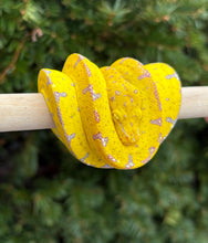 Load image into Gallery viewer, Baby Sorong Green Tree Python (1)