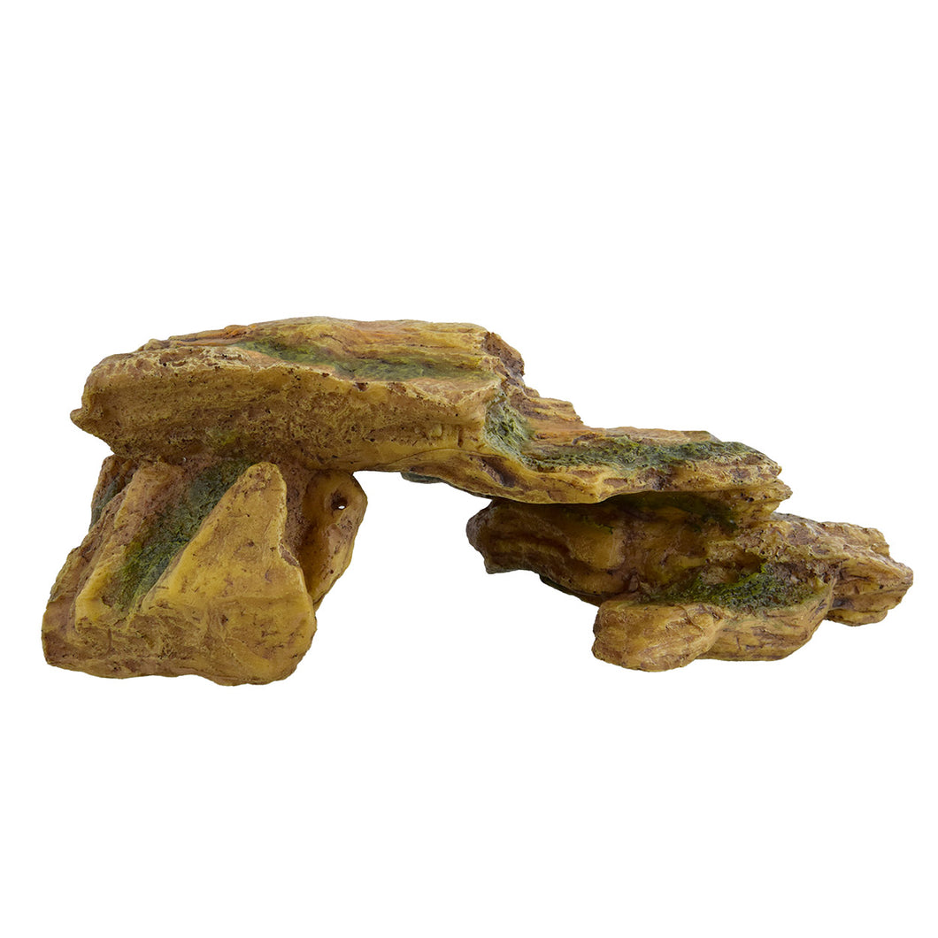 Rocky HIde