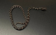 Load image into Gallery viewer, Baby Axanthic Indonesian Mangrove Snake