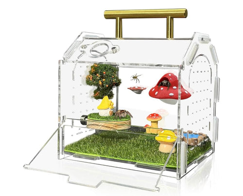 Acrylic Jumping Spider Enclosure (with handle)