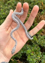Load image into Gallery viewer, Baby Shatter Tessera Corn Snake (Female)