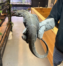 Load image into Gallery viewer, Adult Black Roughneck Monitor (2)