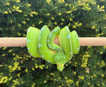 Load image into Gallery viewer, Adult Sorong Green Tree Python (Male)