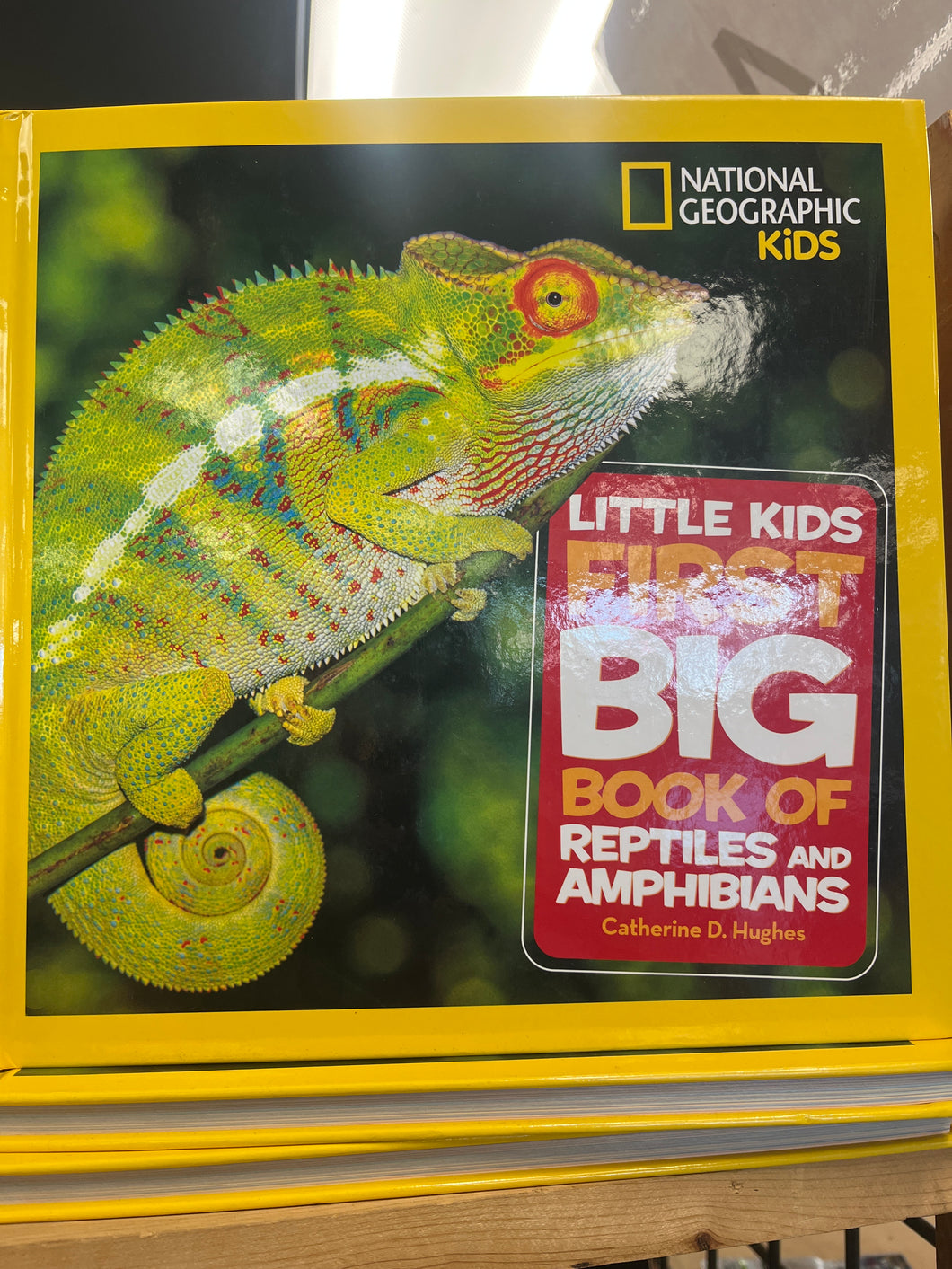 Reptile Book