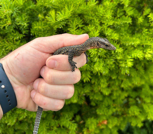 Baby Peach Throat Monitor