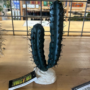 Exo Terra Desert Plants