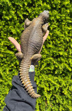 Load image into Gallery viewer, XL Adult Egyptian Uromastyx (2)