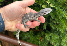 Load image into Gallery viewer, Baby Black Throat Monitor (2)