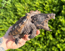 Load image into Gallery viewer, 7” Alligator Snapping Turtle
