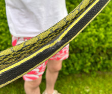 Load image into Gallery viewer, Adult Sumatran Beauty Ratsnake (Male 2)