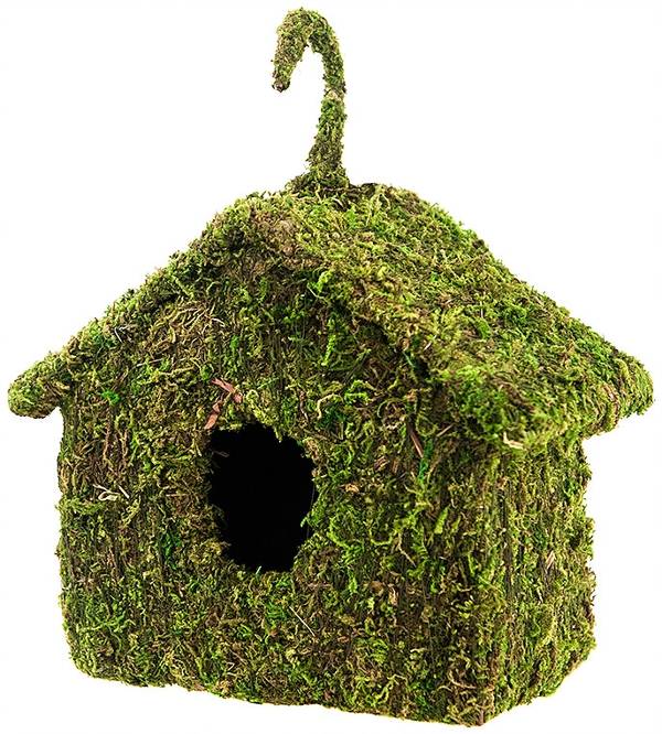 Galapagos Decorative Mossy Birdhouse Maison
