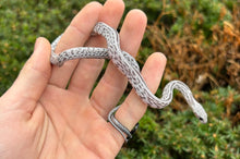 Load image into Gallery viewer, Baby Shatter Tessera Corn Snake (Female)