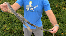 Load image into Gallery viewer, Adult Greater Keeled Ratsnake