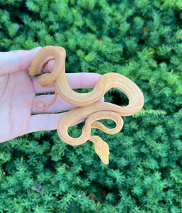 ‘Patternless’ Amazon Tree Boa (Male)