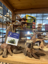 Load image into Gallery viewer, Dragon wood