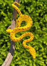 Load image into Gallery viewer, Baby Biak Green Tree Python (1)