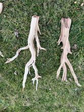 Load image into Gallery viewer, Ghostwood Branch