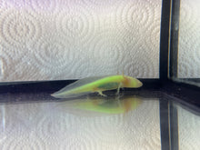 Load image into Gallery viewer, Axolotl