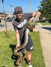 Load image into Gallery viewer, 10’ Adult Reticulated Python (Male)
