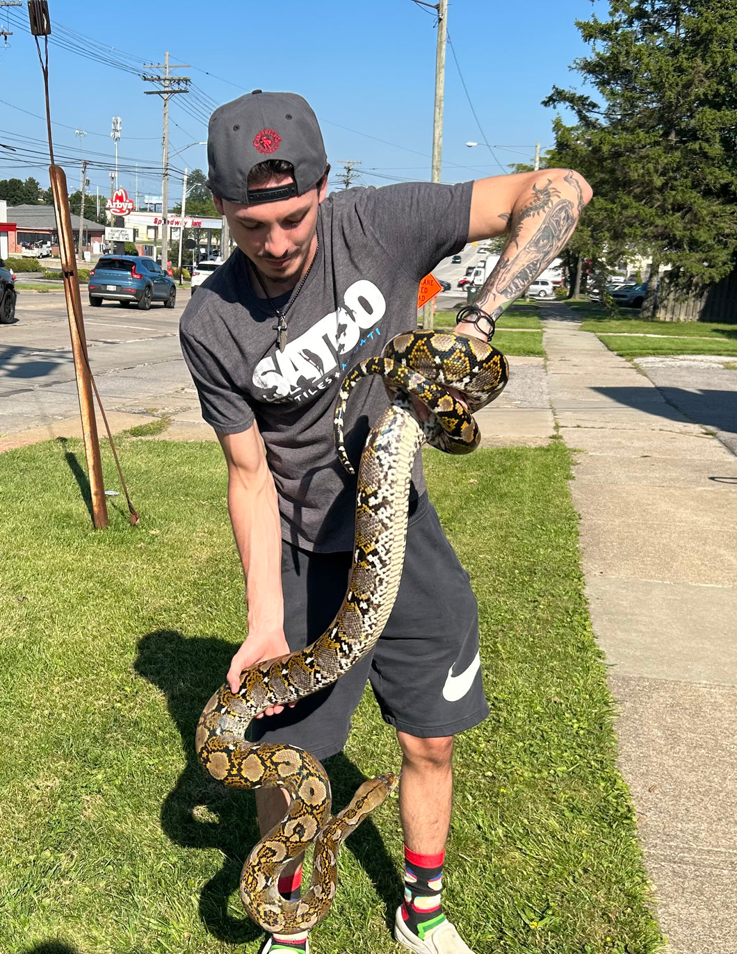 10’ Adult Reticulated Python (Male)