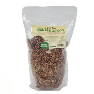 Bean Beetle Food