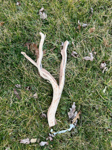 Ghostwood Branch