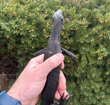 Load image into Gallery viewer, Adult Black Tree Monitor