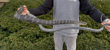 Load image into Gallery viewer, Adult Greater Keeled Ratsnake