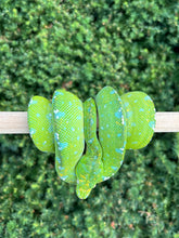 Load image into Gallery viewer, ‘Exceptional’ Adult Aru Green Tree Python (Female)