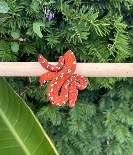 Baby Red Biak Green Tree Python (1)