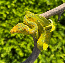 Load image into Gallery viewer, Sub-Adult Biak Green Tree Python (Female)