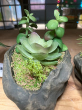 Load image into Gallery viewer, Pangea Succulent Garden