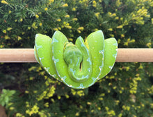 Load image into Gallery viewer, Adult Sorong Green Tree Python (Male)