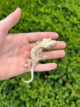Load image into Gallery viewer, Juvenile ‘High-White’ Crested Gecko (Female)
