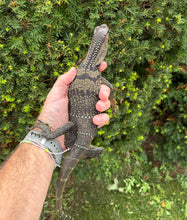 Load image into Gallery viewer, 2’ Black Roughneck Monitor