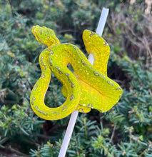 Load image into Gallery viewer, Juvenile Biak Green Tree Python (Male)