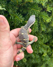 Load image into Gallery viewer, Baby Black Throat Monitor (5)