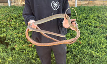 Load image into Gallery viewer, XXL Adult White-Bellied Ratsnake (Male)