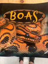 Load image into Gallery viewer, Reptile Book
